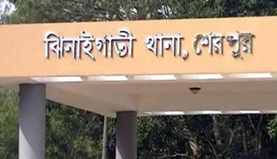 image-here